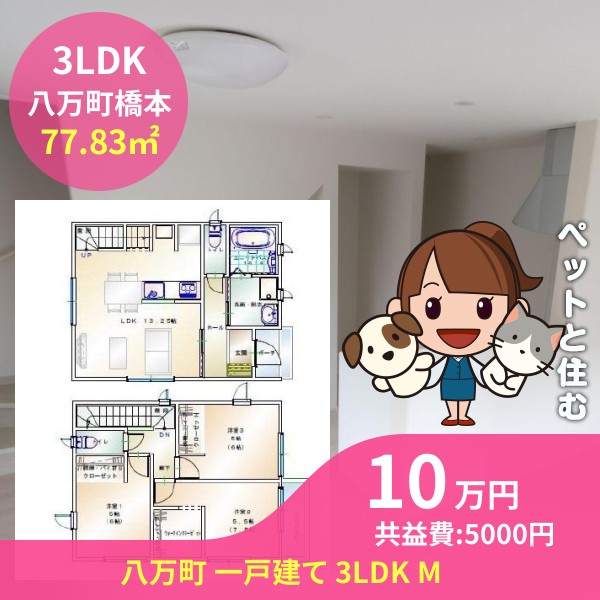 八万町 一戸建て 3LDK M