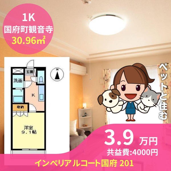 インぺリアルコート国府 201
