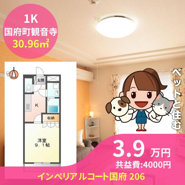 インぺリアルコート国府 206