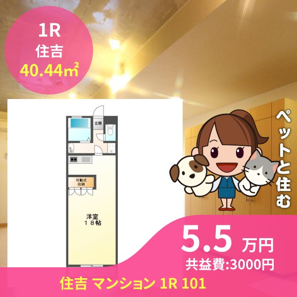 住吉 マンション 1R 101