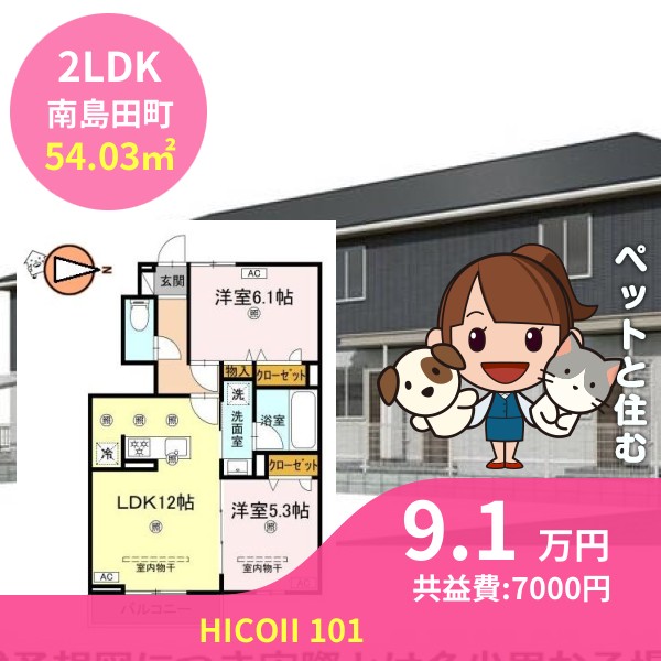 HICOII 101