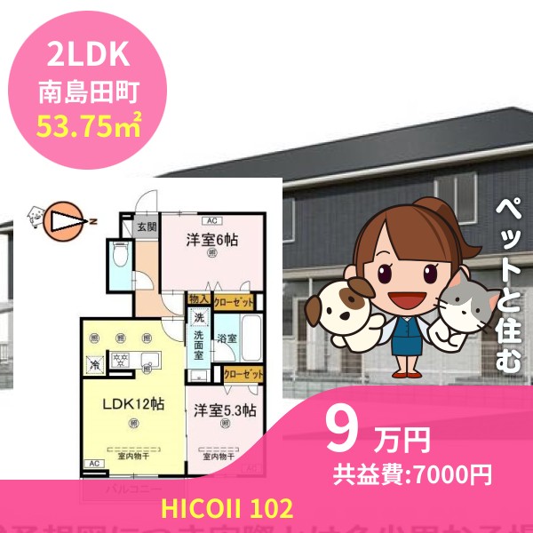 HICOII 102