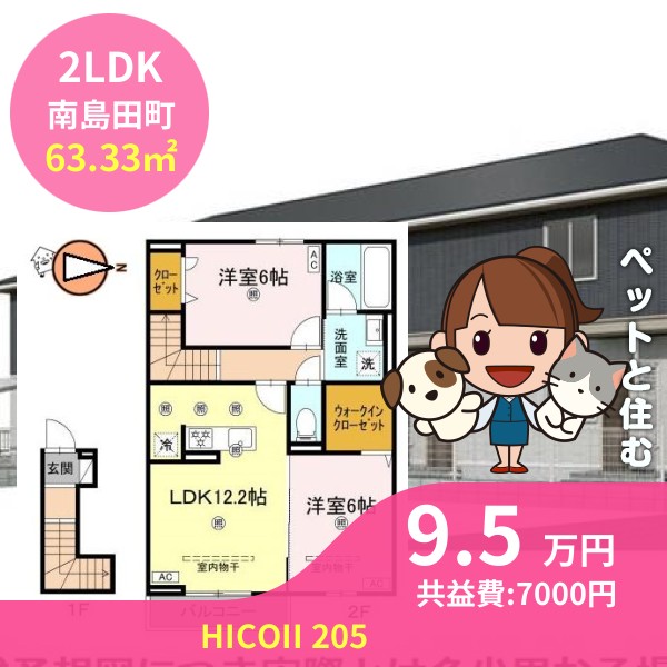 HICOII 205