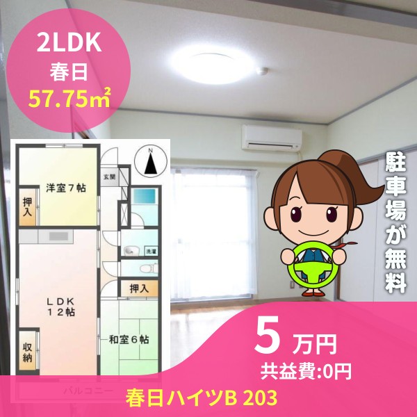 春日ハイツB 203