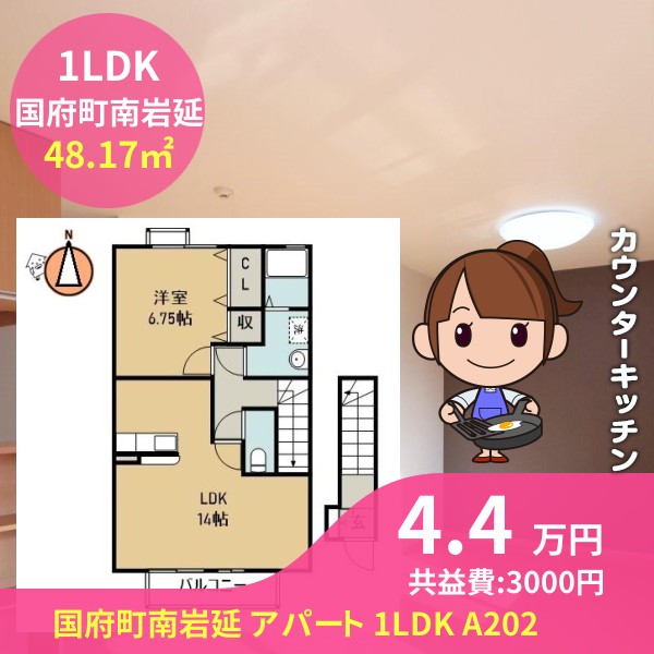 国府町南岩延 アパート 1LDK A202