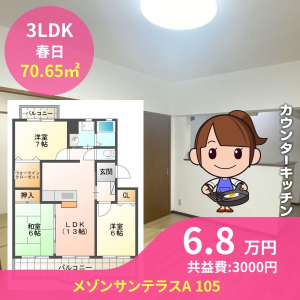 メゾンサンテラスA 105