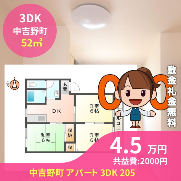 中吉野町 アパート 3DK 205