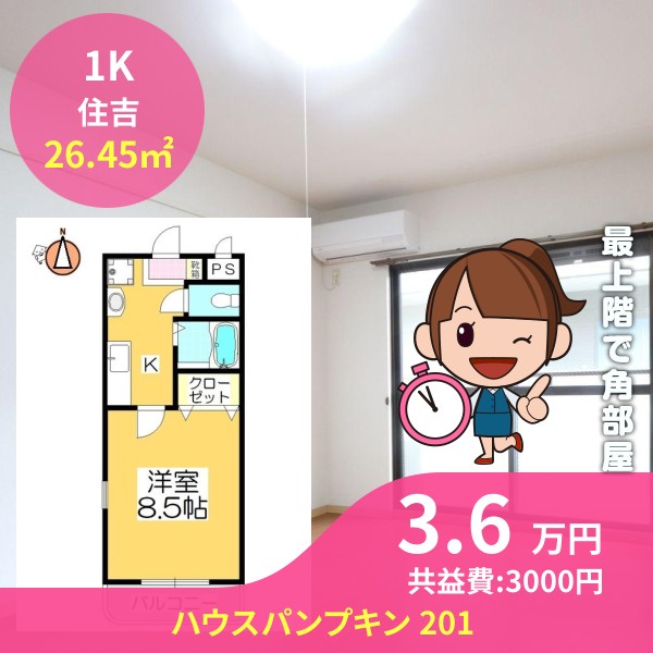 ハウスパンプキン 201