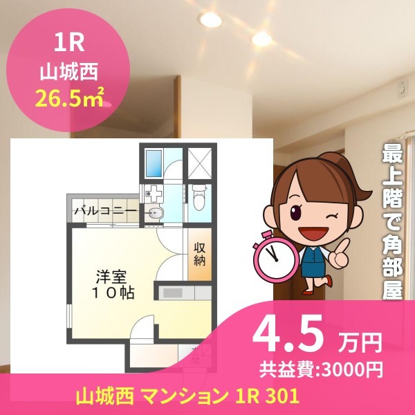山城西 マンション 1R 301