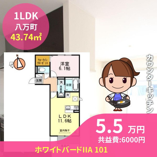 ホワイトバードIIA 101