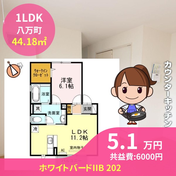 ホワイトバードIIB 202