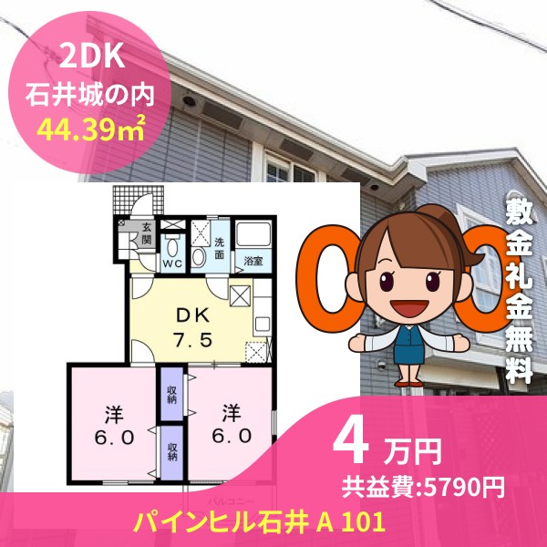 パインヒル石井 A 101