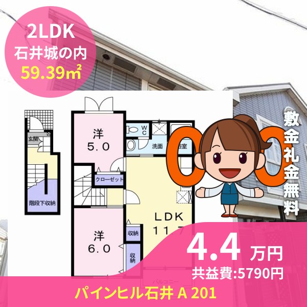 パインヒル石井 A 201