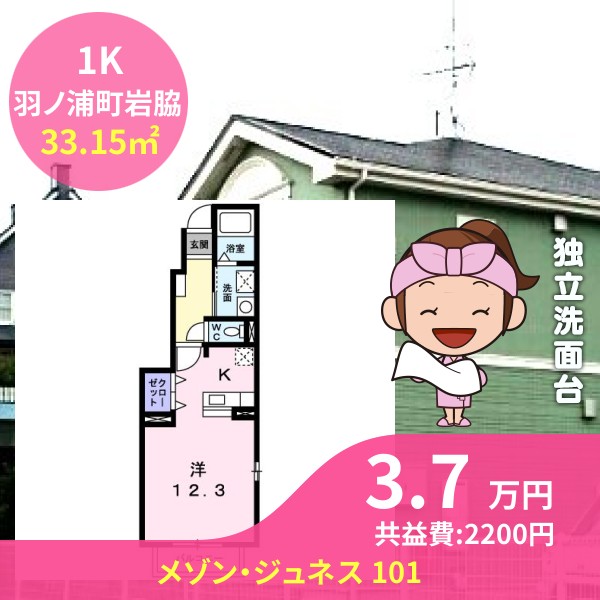 メゾン・ジュネス 101