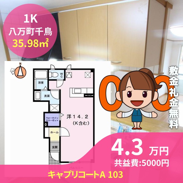 キャプリコートA 103