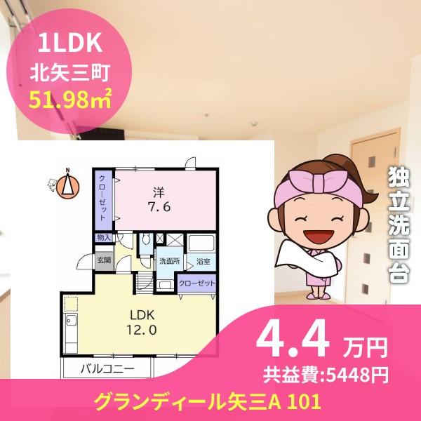 グランディール矢三A 101