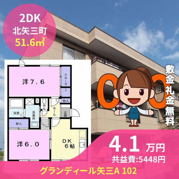 グランディール矢三A 102