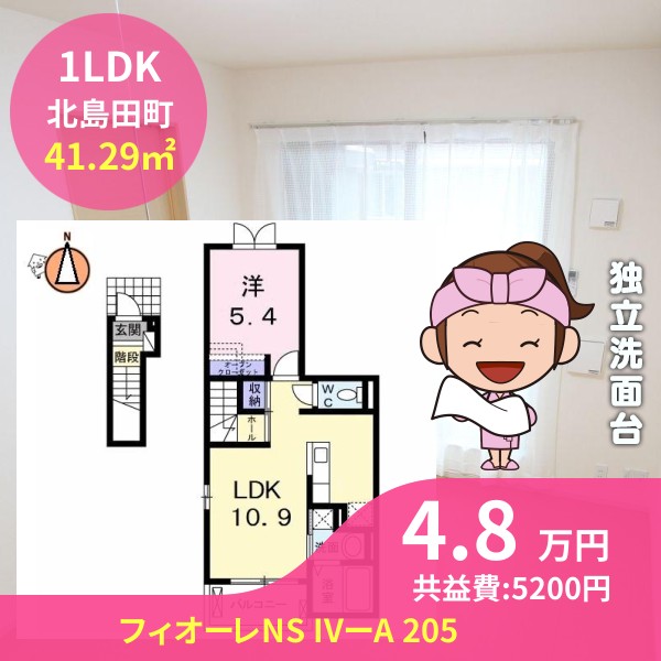 フィオーレNS IVーA 205