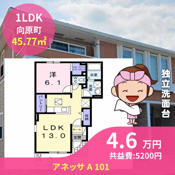 アネッサ A 101