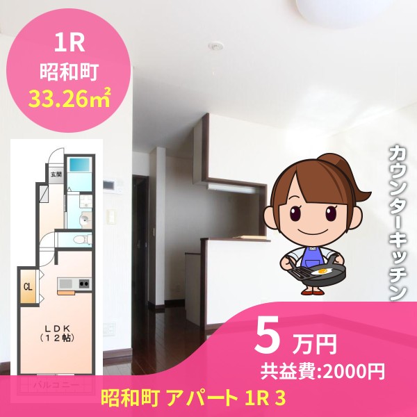 昭和町 アパート 1R 3