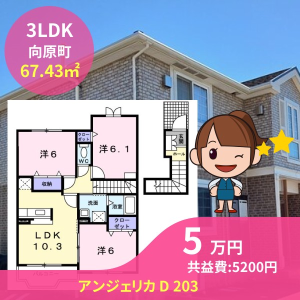 アンジェリカ D 203