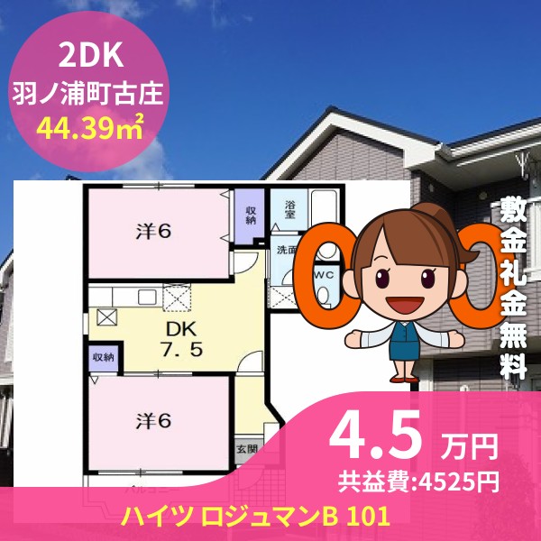ハイツ ロジュマンB 101