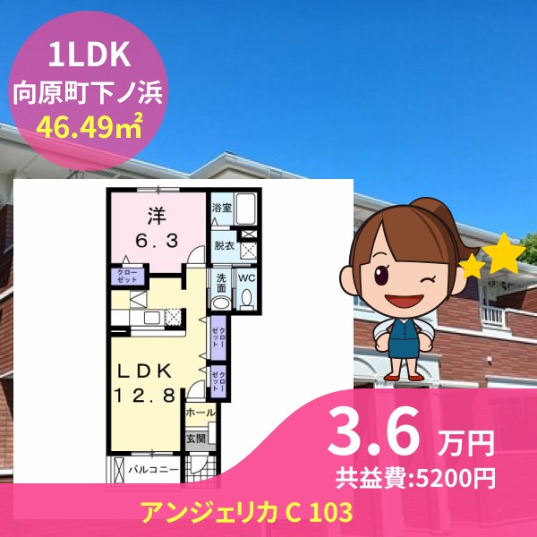 アンジェリカ C 103