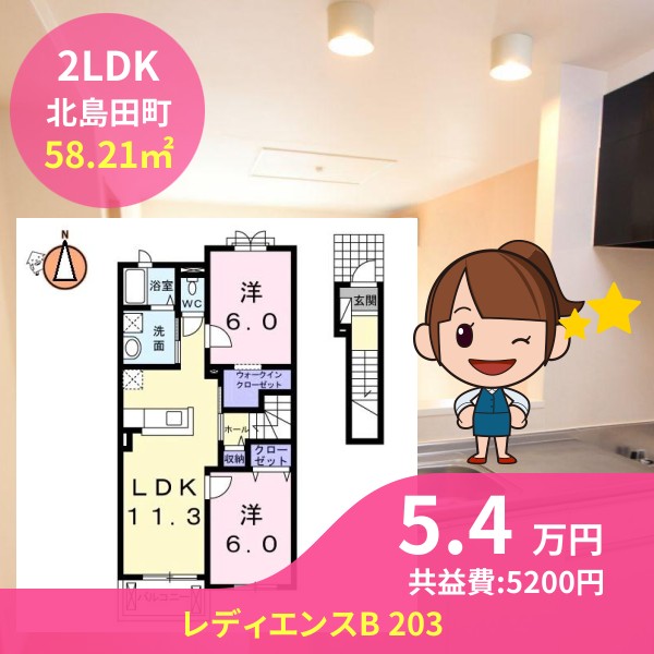 レディエンスB 203