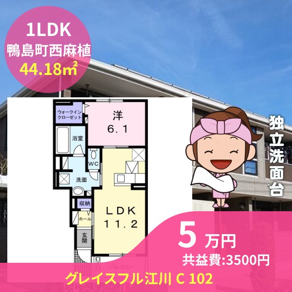 グレイスフル江川 C 102