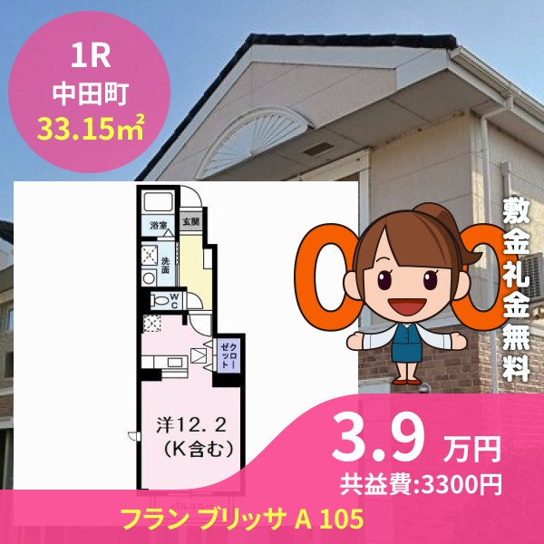 フラン ブリッサ A 105