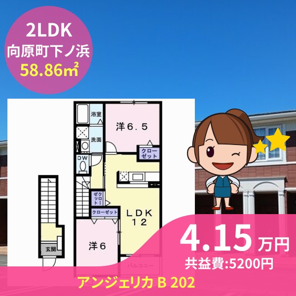 アンジェリカ B 202