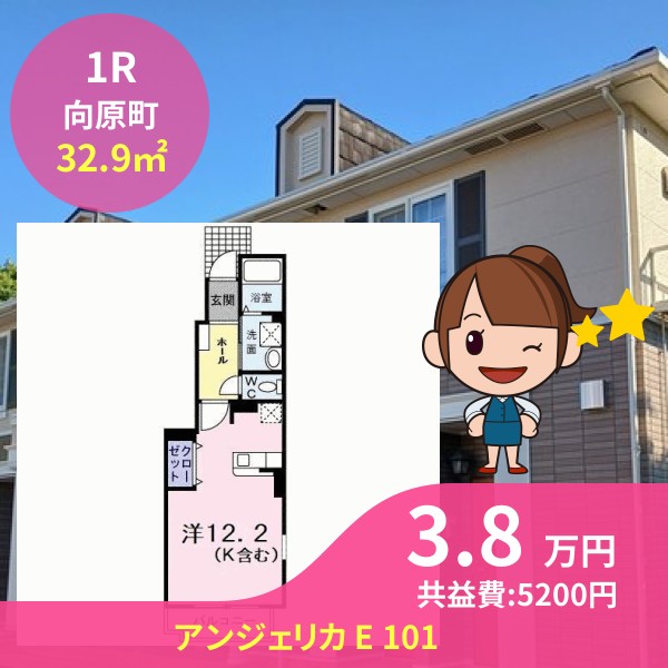 アンジェリカ E 101