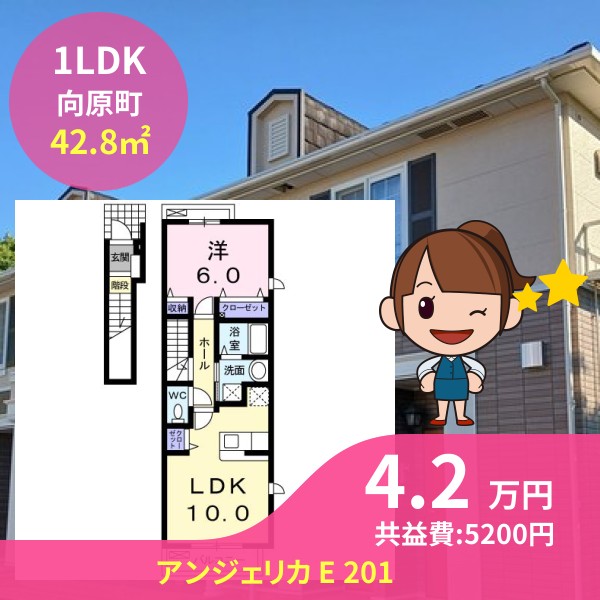 アンジェリカ E 201