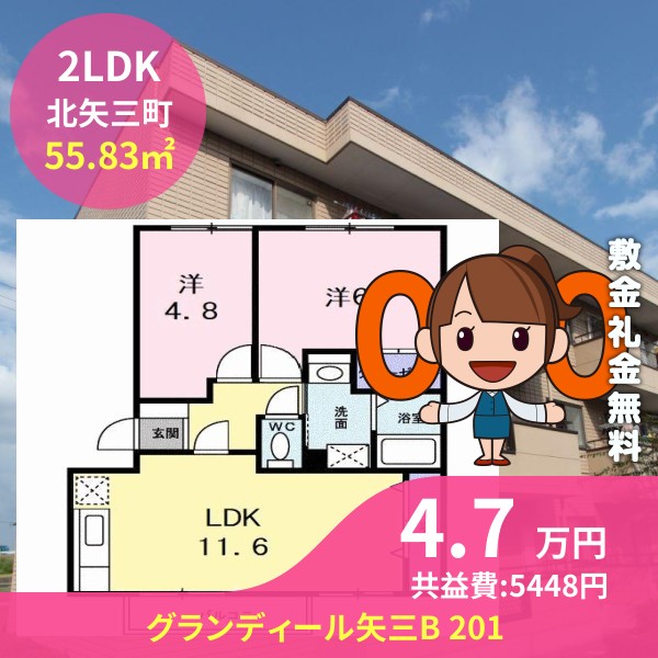グランディール矢三B 201