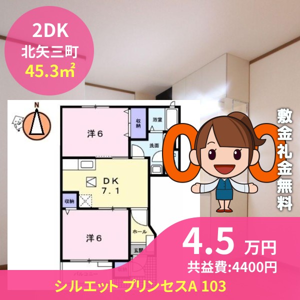 シルエット プリンセスA 103