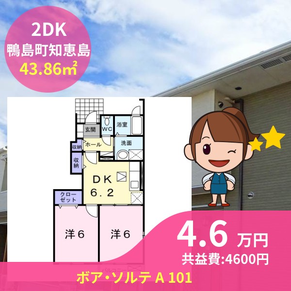 ボア・ソルテ A 101