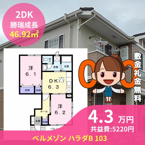 ベルメゾン ハラダB 103