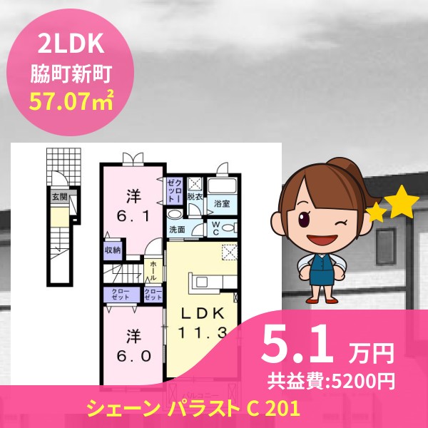 シェーン パラスト C 201