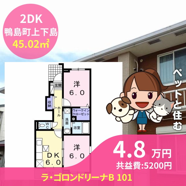 ラ・ゴロンドリーナB 101