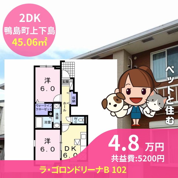 ラ・ゴロンドリーナB 102