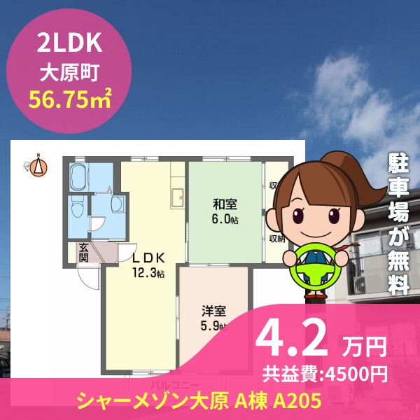 シャーメゾン大原 A棟 A205