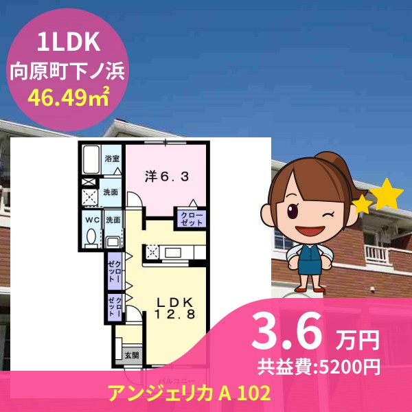 アンジェリカ A 102