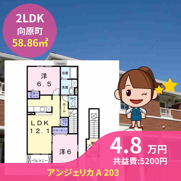 アンジェリカ A 203