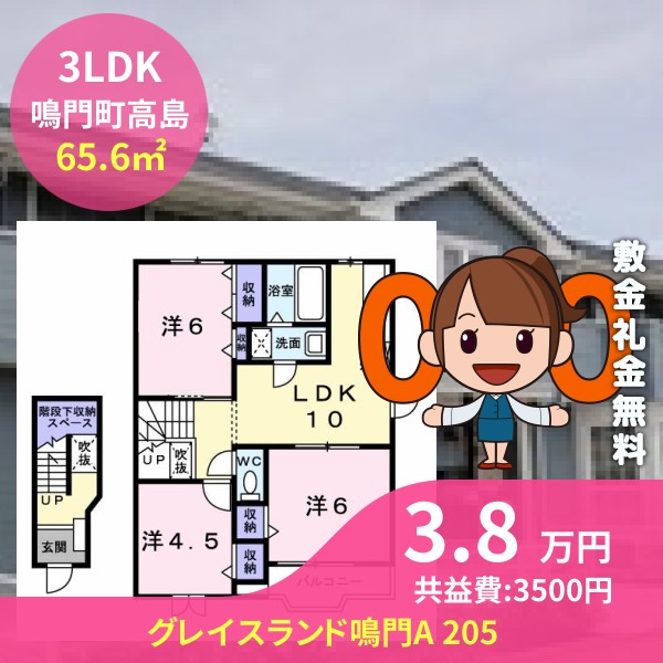 グレイスランド鳴門A 205