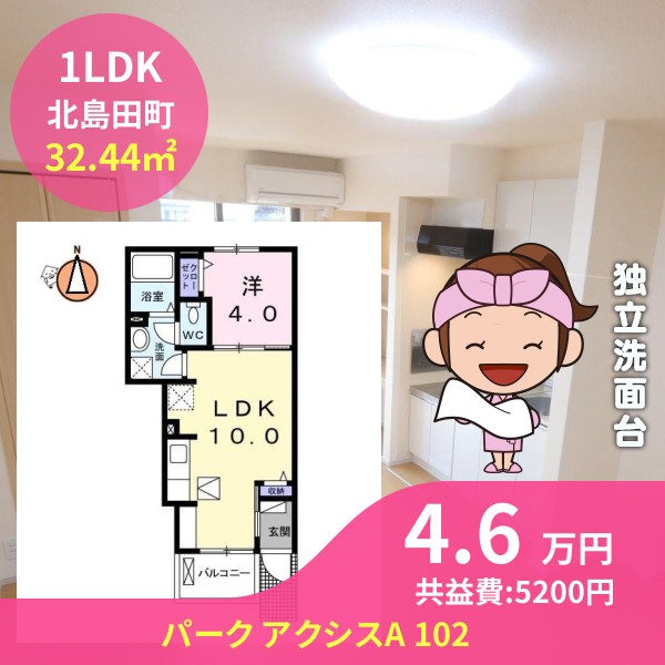 パーク アクシスA 102