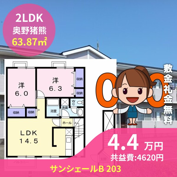 サンシェールB 203