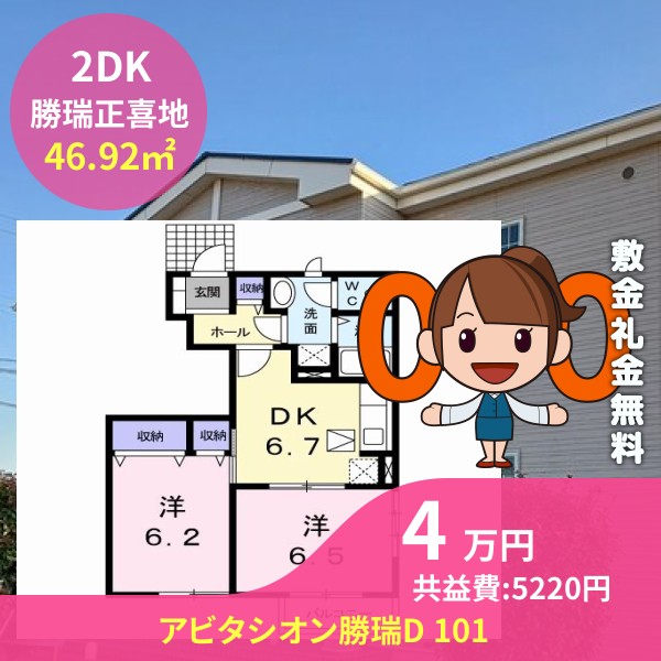 アビタシオン勝瑞D 101