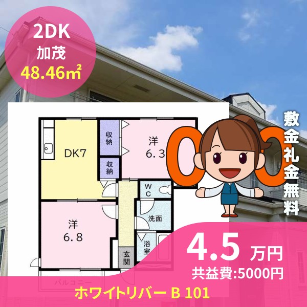 ホワイトリバー B 101