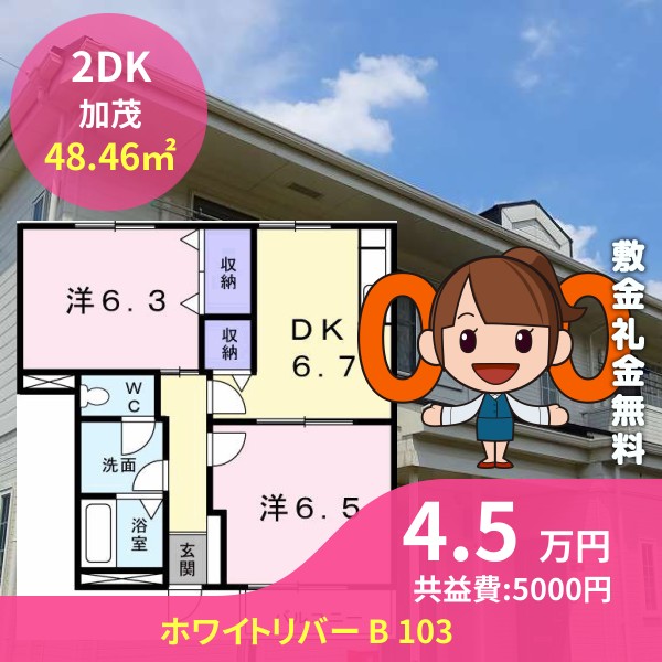 ホワイトリバー B 103