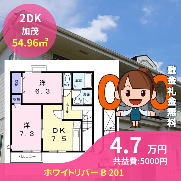 ホワイトリバー B 201